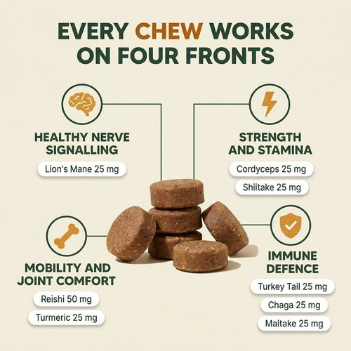 The Rootway Chews